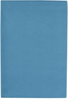 istc utrka Safr, na sklo, mikrovlkno 290 g, 40 x 40 cm